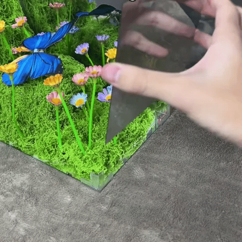 Spring Butterfly Light Cube