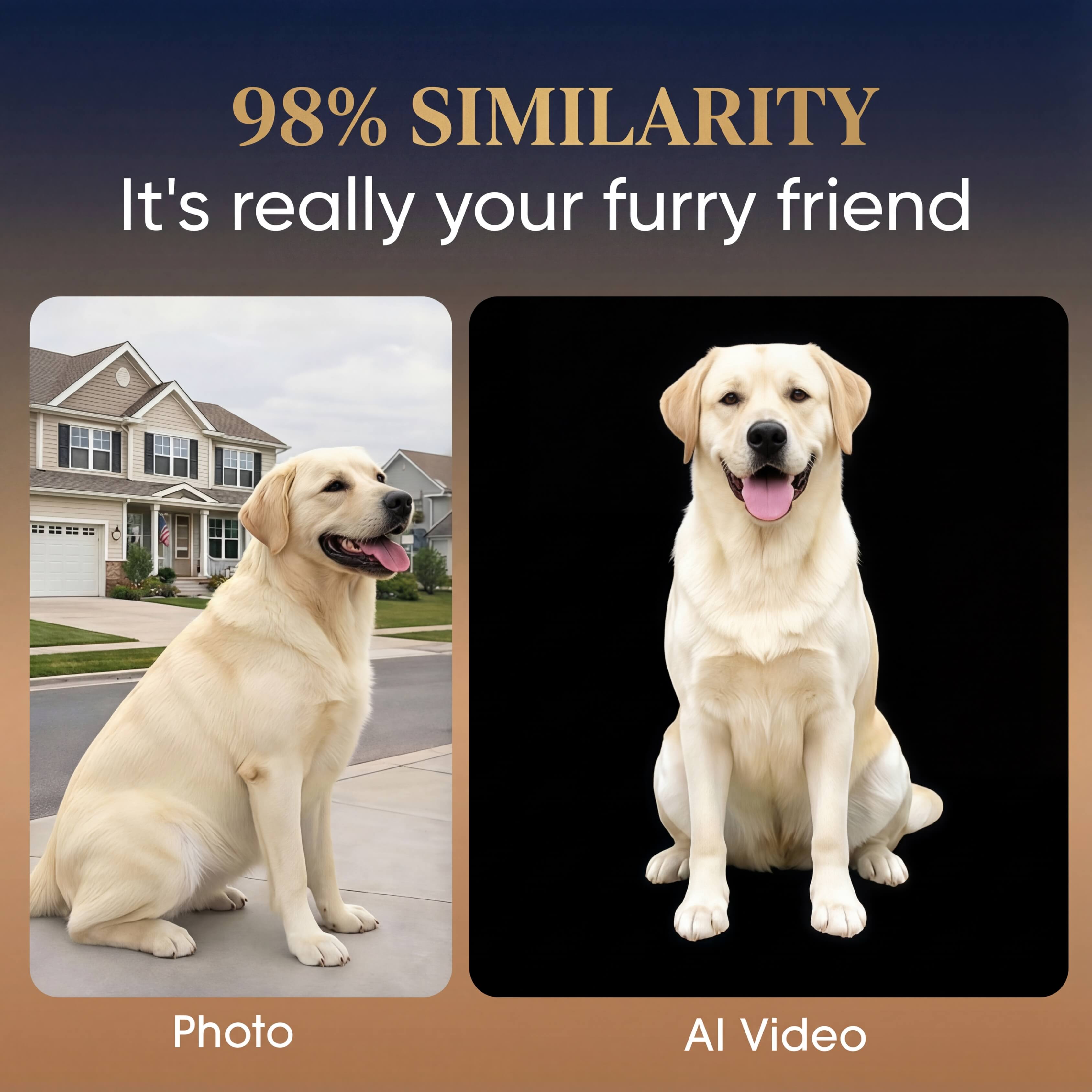 PawAI Pet Hologram Memory Keeper