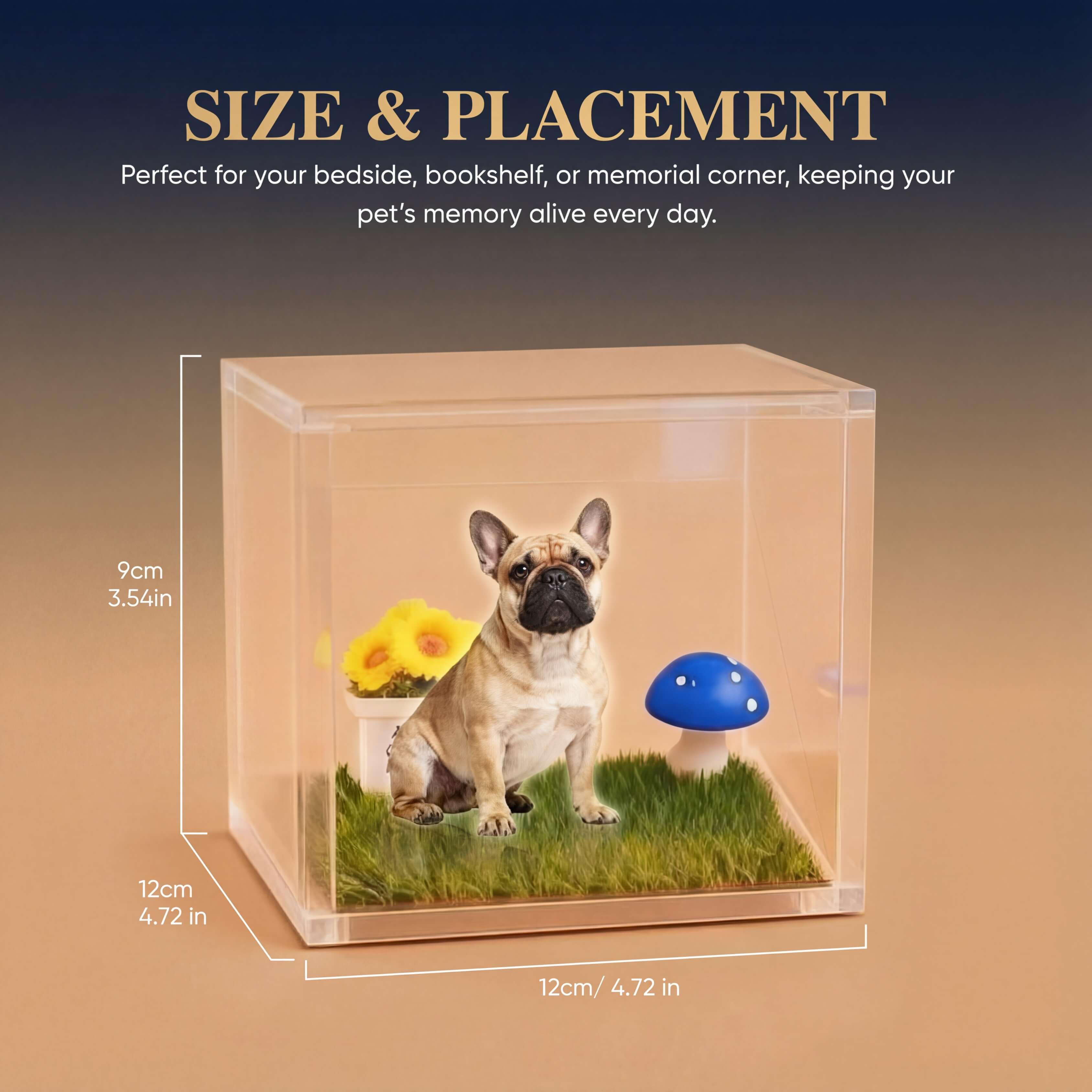 PawAI Pet Hologram Memory Keeper